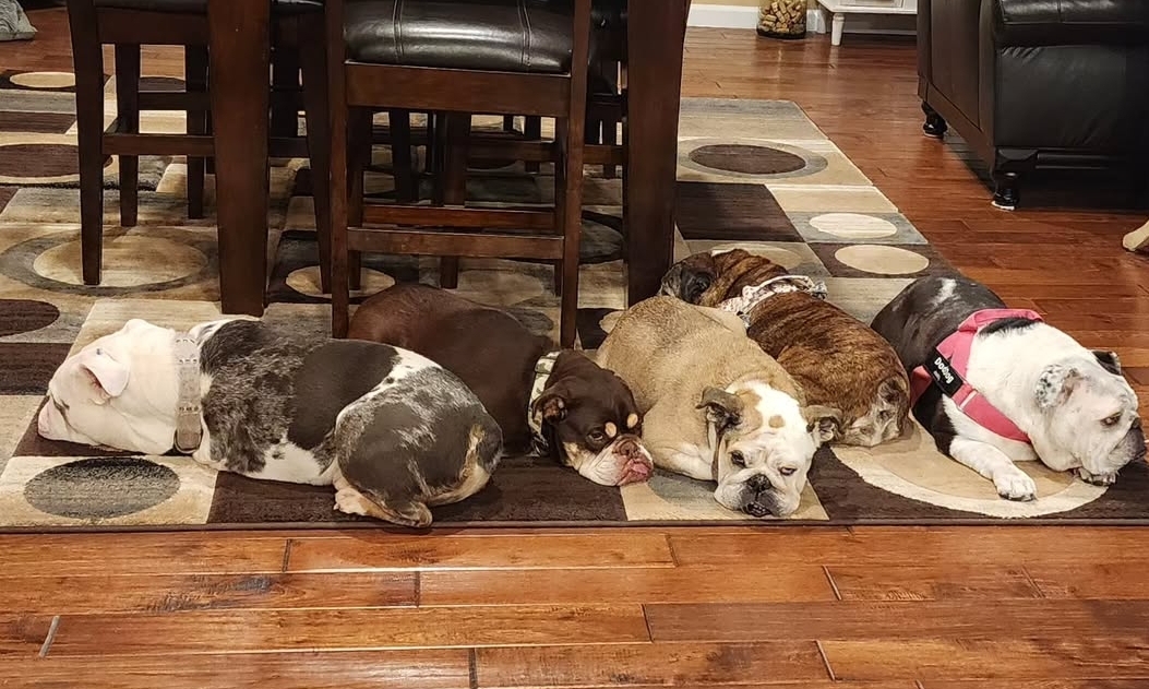 Screenshot 20250316 163915 Instagram