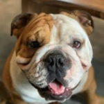 screenshot 2025 12 05 115158