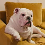 screenshot 2025 12 05 115320